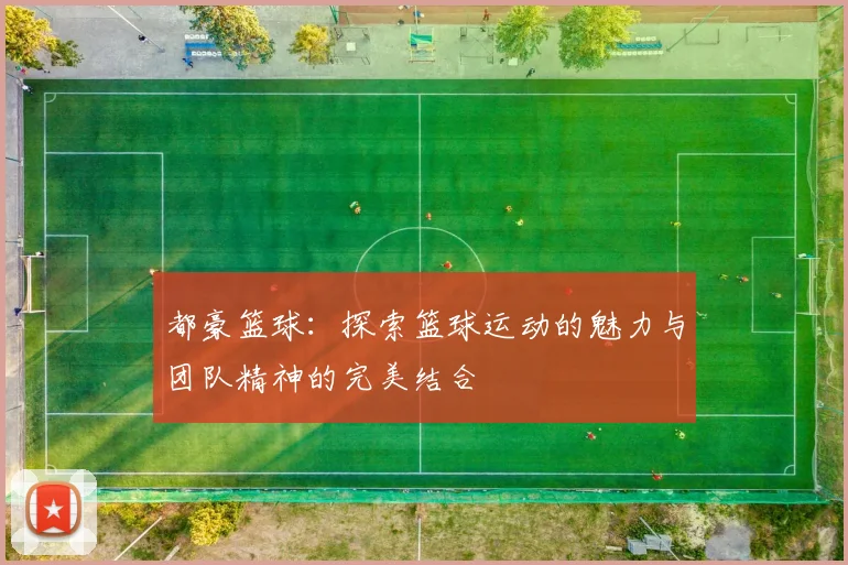 都豪篮球：探索篮球运动的魅力与团队精神的完美结合