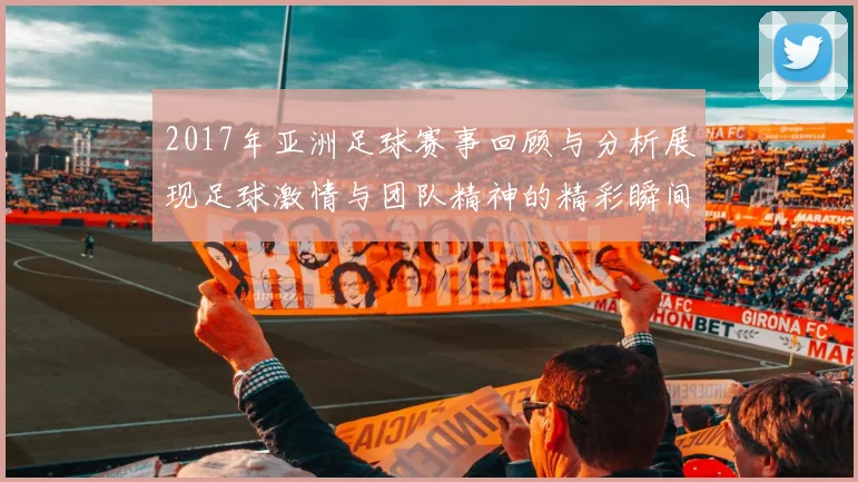 2017年亚洲足球赛事回顾与分析展现足球激情与团队精神的精彩瞬间