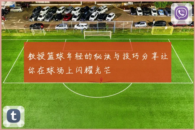 教授篮球年轻的秘诀与技巧分享让你在球场上闪耀光芒